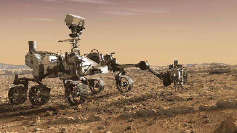 发现新乐趣！探索Facebook上的兔子表情包